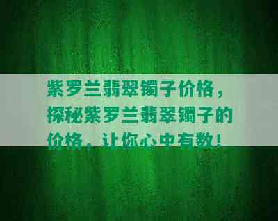 紫罗兰翡翠镯子价格，探秘紫罗兰翡翠镯子的价格，让你心中有数！