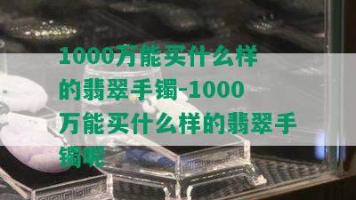 1000万能买什么样的翡翠手镯-1000万能买什么样的翡翠手镯呢