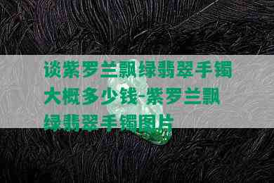 谈紫罗兰飘绿翡翠手镯大概多少钱-紫罗兰飘绿翡翠手镯图片