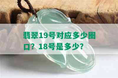 翡翠19号对应多少圈口？18号是多少？