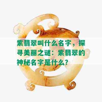 紫翡翠叫什么名字，探寻美丽之谜：紫翡翠的神秘名字是什么？