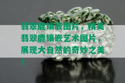 翡翠鹿镶嵌图片，精美翡翠鹿镶嵌艺术图片，展现大自然的奇妙之美！