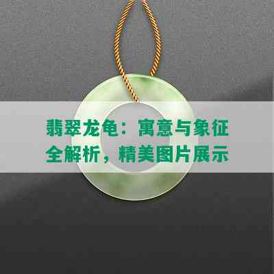 翡翠龙龟：寓意与象征全解析，精美图片展示