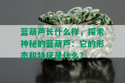 蓝葫芦长什么样，探索神秘的蓝葫芦：它的形态和特征是什么？