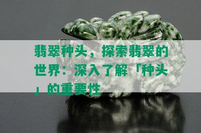 翡翠种头，探索翡翠的世界：深入了解「种头」的重要性