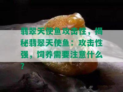 翡翠天使鱼攻击性，揭秘翡翠天使鱼：攻击性强，饲养需要注意什么？