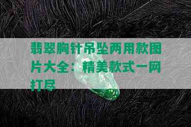 翡翠胸针吊坠两用款图片大全：精美款式一网打尽