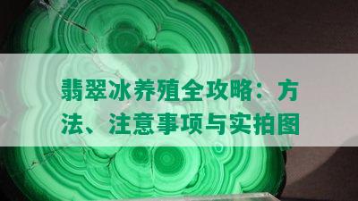 翡翠冰养殖全攻略：方法、注意事项与实拍图