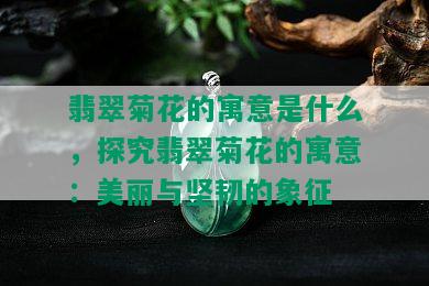 翡翠菊花的寓意是什么，探究翡翠菊花的寓意：美丽与坚韧的象征