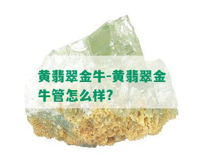 黄翡翠金牛-黄翡翠金牛管怎么样?