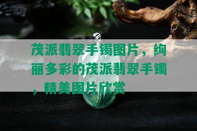 茂派翡翠手镯图片，绚丽多彩的茂派翡翠手镯，精美图片欣赏