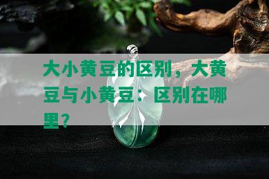 大小黄豆的区别，大黄豆与小黄豆：区别在哪里？