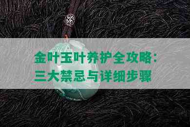 金叶玉叶养护全攻略：三大禁忌与详细步骤