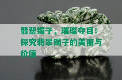 翡翠镯子，璀璨夺目！探究翡翠镯子的美丽与价值