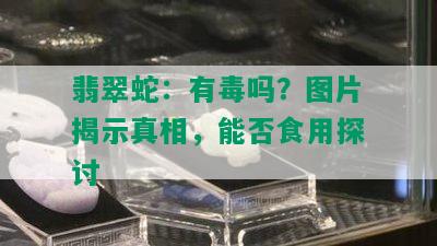 翡翠蛇：有吗？图片揭示真相，能否食用探讨