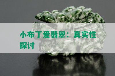 小布丁爱翡翠：真实性探讨