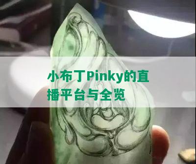 小布丁Pinky的直播平台与全览