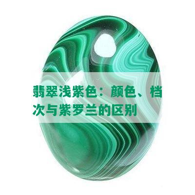 翡翠浅紫色：颜色、档次与紫罗兰的区别