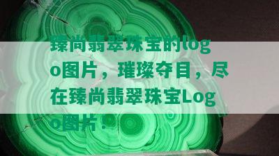 臻尚翡翠珠宝的logo图片，璀璨夺目，尽在臻尚翡翠珠宝Logo图片！