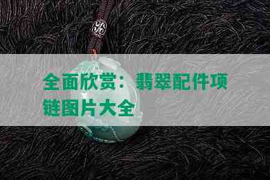 全面欣赏：翡翠配件项链图片大全