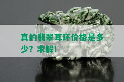 真的翡翠耳环价格是多少？求解！