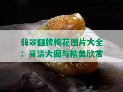 翡翠圆牌梅花图片大全：高清大图与精美欣赏