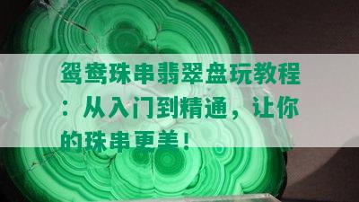 鸳鸯珠串翡翠盘玩教程：从入门到精通，让你的珠串更美！