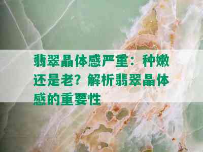 翡翠晶体感严重：种嫩还是老？解析翡翠晶体感的重要性