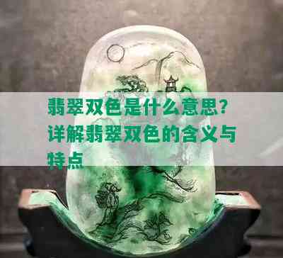 翡翠双色是什么意思？详解翡翠双色的含义与特点