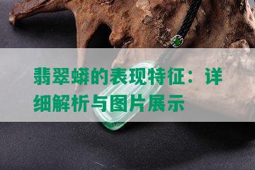 翡翠蟒的表现特征：详细解析与图片展示