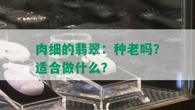 肉细的翡翠：种老吗？适合做什么？