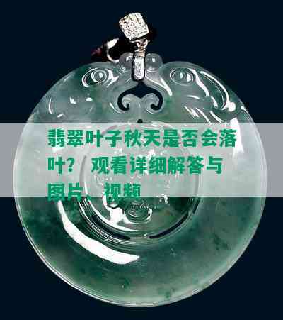 翡翠叶子秋天是否会落叶？ 观看详细解答与图片、视频