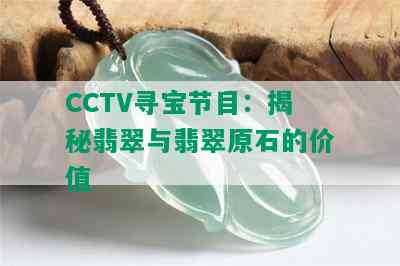 CCTV寻宝节目：揭秘翡翠与翡翠原石的价值