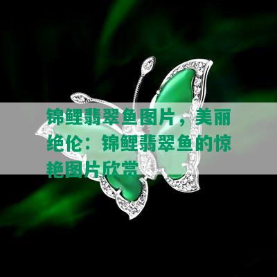 锦鲤翡翠鱼图片，美丽绝伦：锦鲤翡翠鱼的惊艳图片欣赏