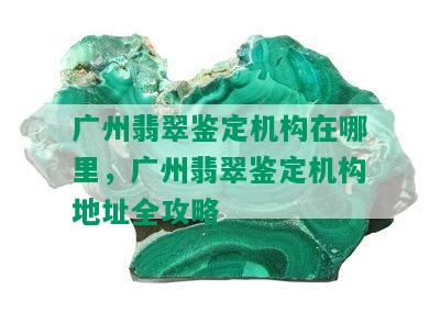 广州翡翠鉴定机构在哪里，广州翡翠鉴定机构地址全攻略