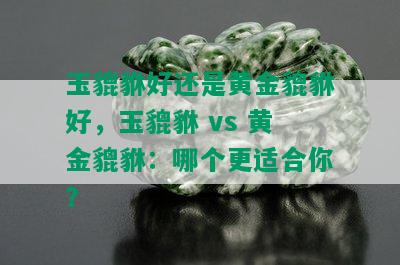 玉貔貅好还是黄金貔貅好，玉貔貅 vs 黄金貔貅：哪个更适合你？