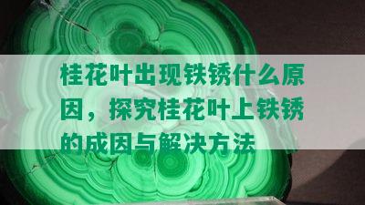 桂花叶出现铁锈什么原因，探究桂花叶上铁锈的成因与解决方法