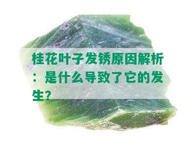 桂花叶子发锈原因解析：是什么导致了它的发生？