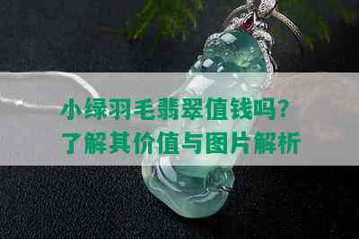 小绿羽毛翡翠值钱吗？了解其价值与图片解析