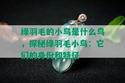 绿羽毛的小鸟是什么鸟，探秘绿羽毛小鸟：它们的身份和特征