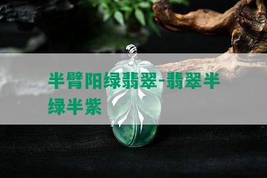 半臂阳绿翡翠-翡翠半绿半紫