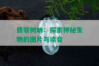 翡翠树蚺：探索神秘生物的图片与读音