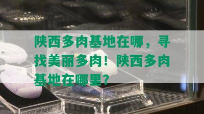 陕西多肉基地在哪，寻找美丽多肉！陕西多肉基地在哪里？