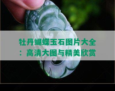 牡丹蝴蝶玉石图片大全：高清大图与精美欣赏