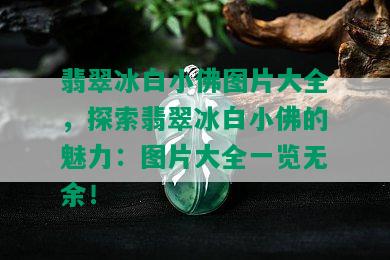 翡翠冰白小佛图片大全，探索翡翠冰白小佛的魅力：图片大全一览无余！