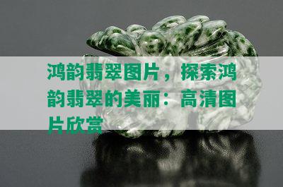 鸿韵翡翠图片，探索鸿韵翡翠的美丽：高清图片欣赏