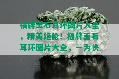 福牌玉石耳环图片大全，精美绝伦！福牌玉石耳环图片大全，一为快！