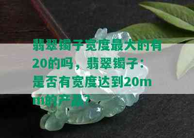 翡翠镯子宽度更大的有20的吗，翡翠镯子：是否有宽度达到20mm的产品？