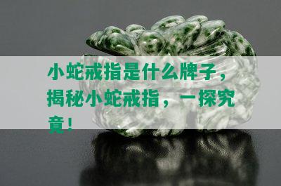 小蛇戒指是什么牌子，揭秘小蛇戒指，一探究竟！