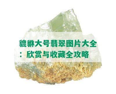 貔貅大号翡翠图片大全：欣赏与收藏全攻略